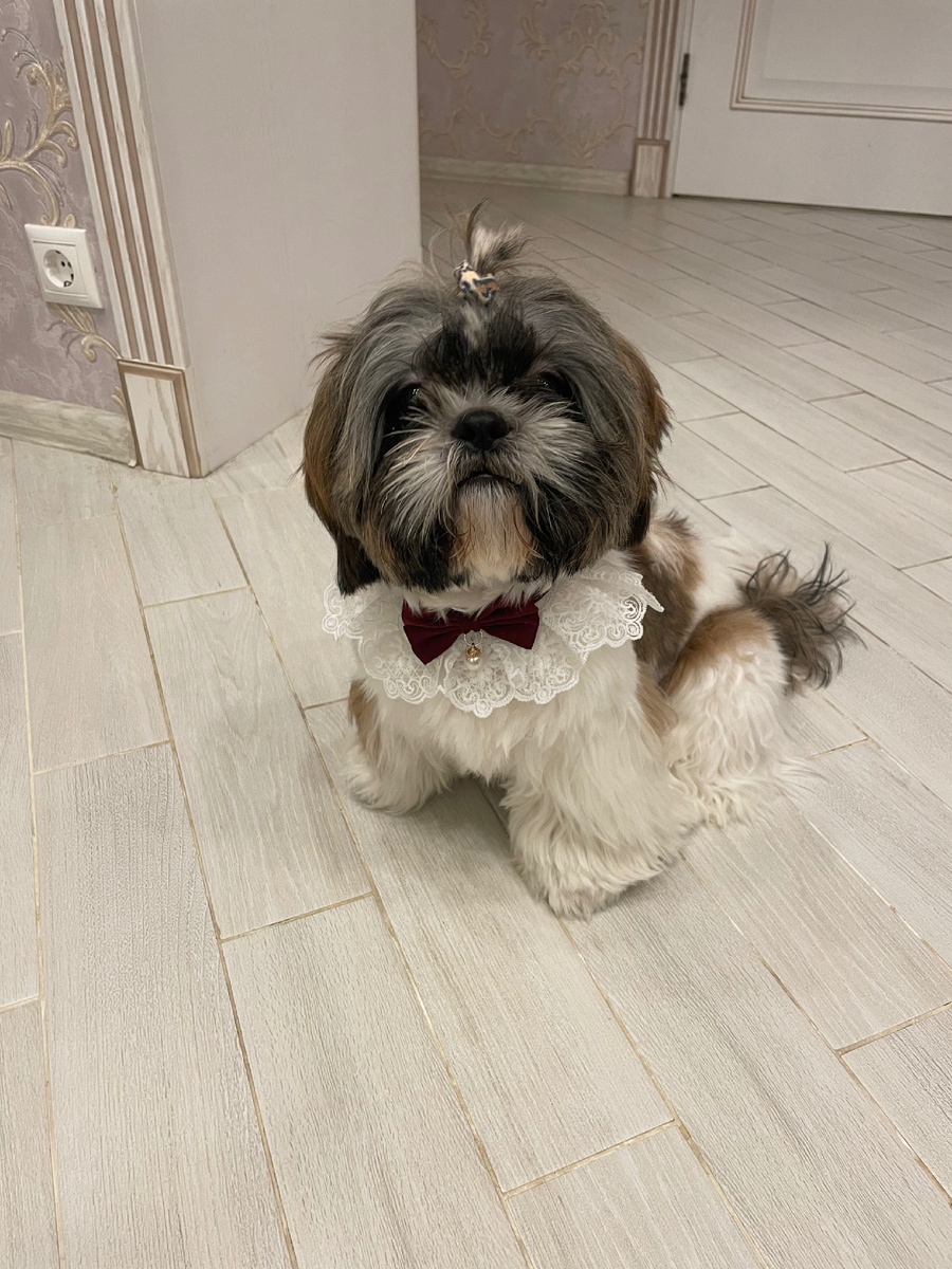 Наш джентельмен с хорошими манерами:)