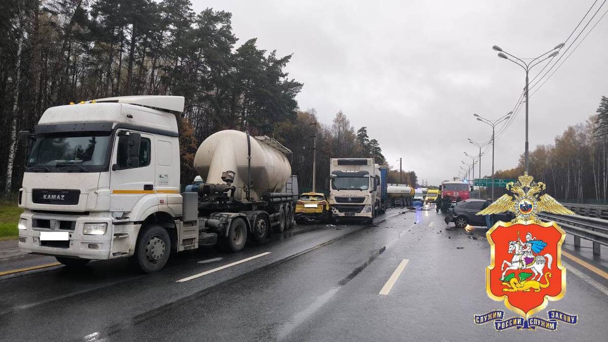    Фото: Telegram / Подмосковная полиция