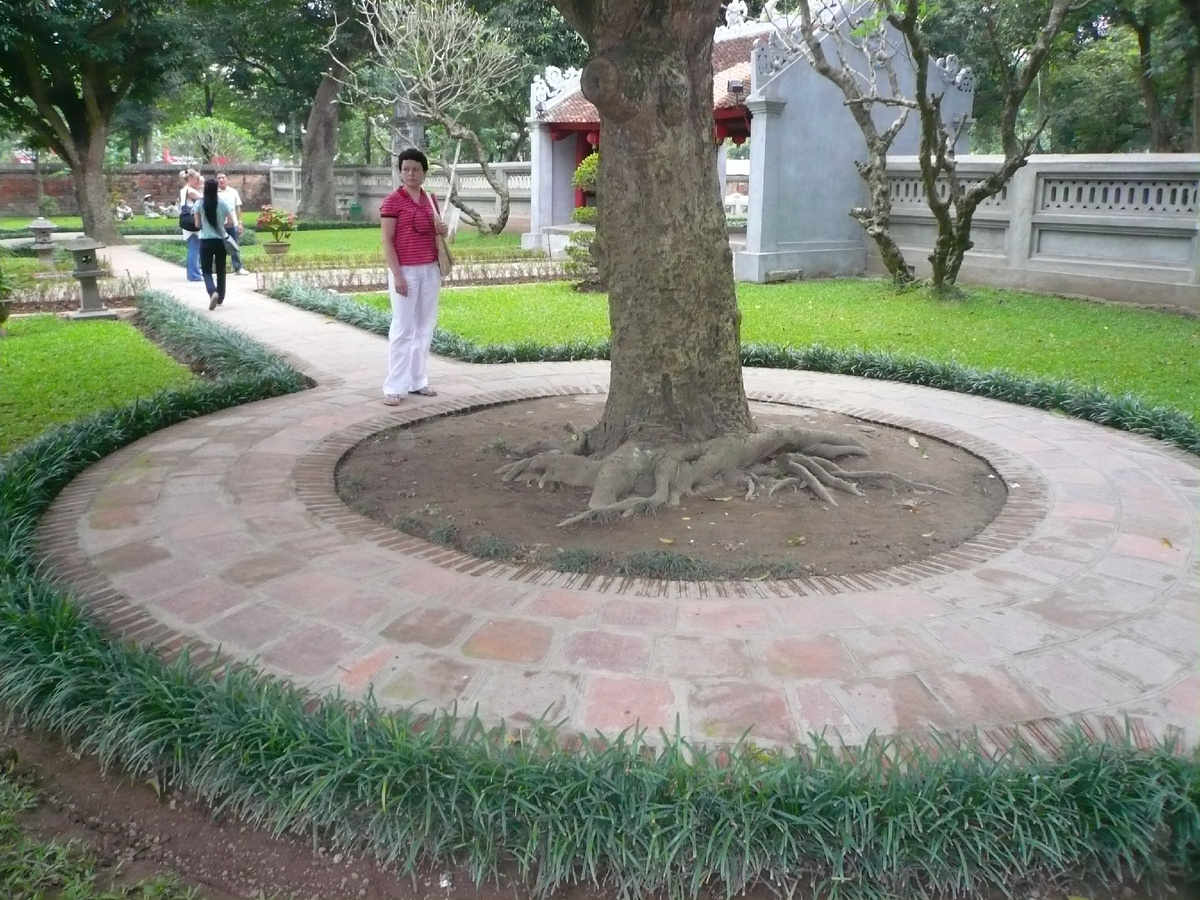 Бордюр вдоль дорожки Парк во Вьетнаме. Фото автора