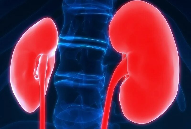 Почечная недостаточность: что это, как распознать и можно ли жить полноценно?
