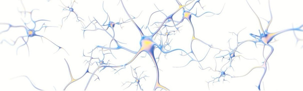 "НЕЙРОНЫ ШИПОВНИКА"