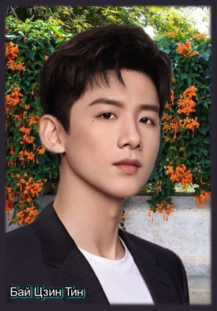 Дин Ци - Детектив