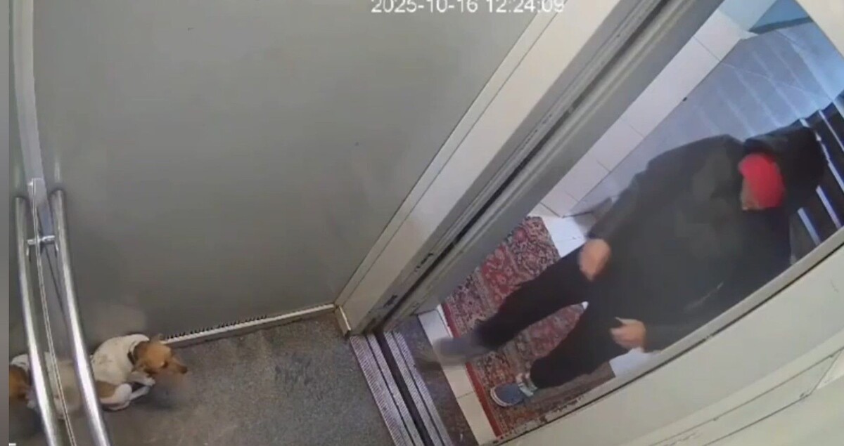     / Источник: Кадр из видео