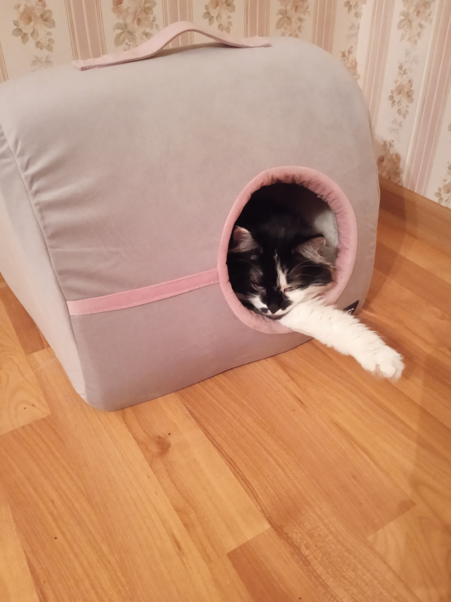 Ну не знаю мать. Всё то тебе неймётся! Я вот только свои пустые миски продвигаю и ничего жива! 