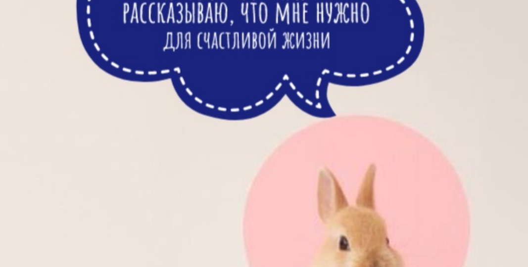 Методичка по содержанию кролика