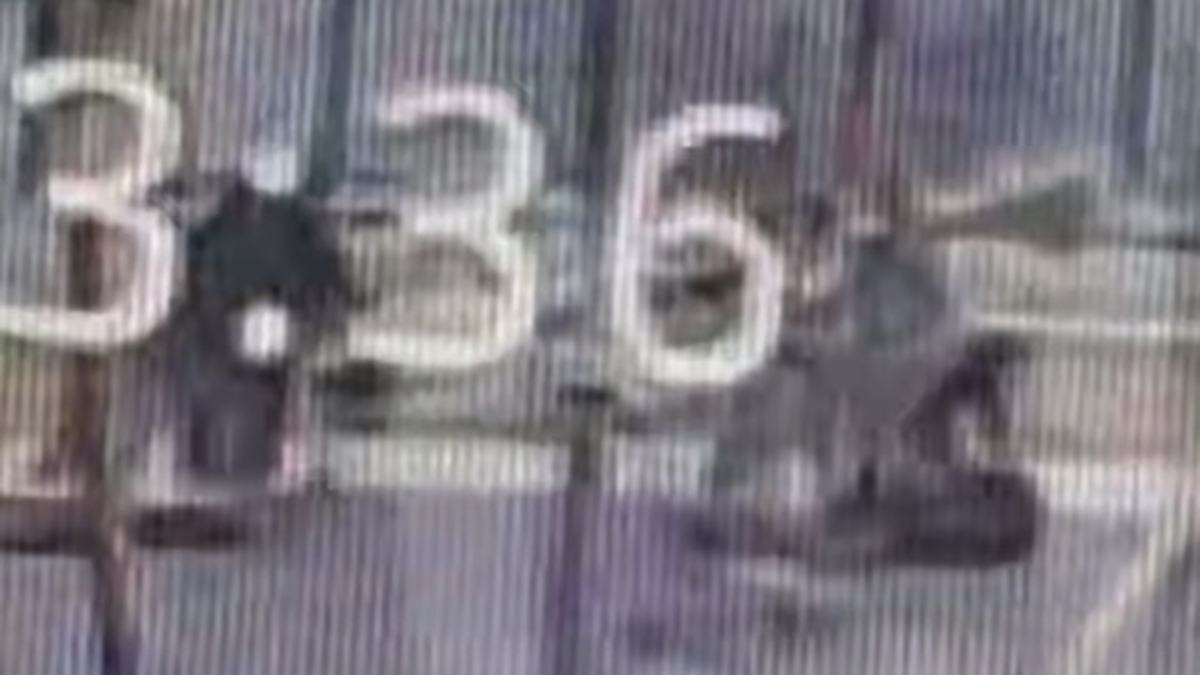    Фото: Скриншот видео / Mash / Telegram