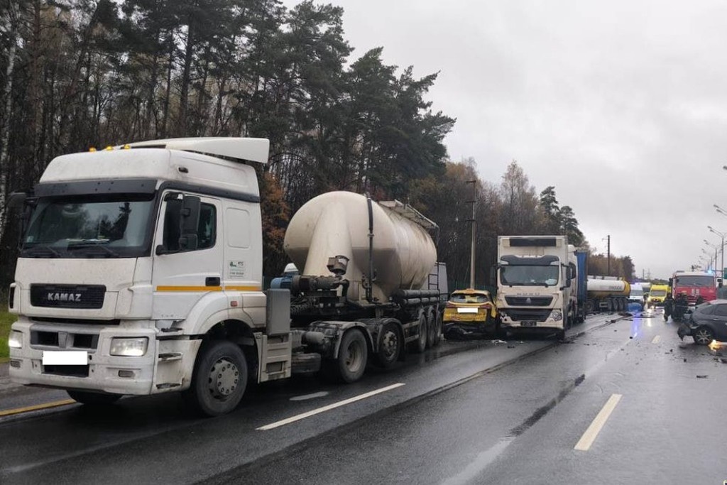    Фото © Telegram / Подмосковная полиция