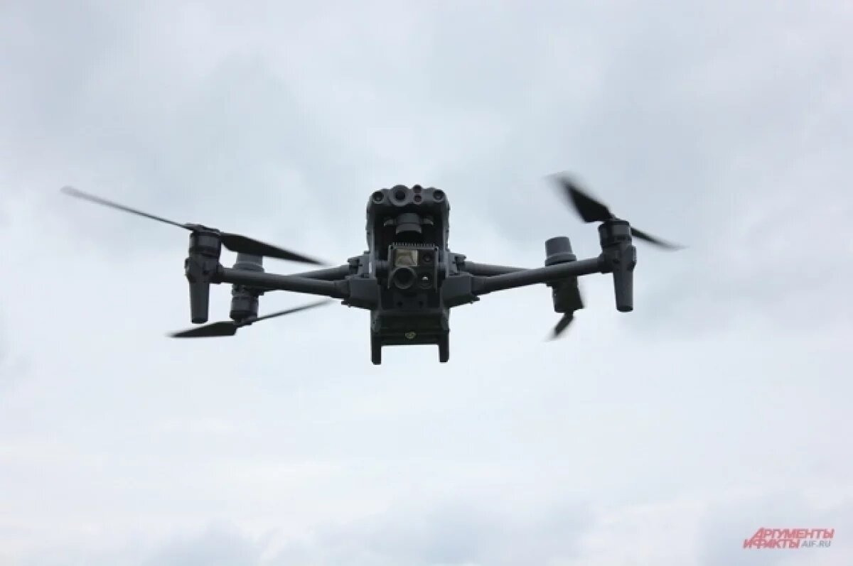    Зеленоградский фермер применяет агродроны на «умной» облепиховой ферме