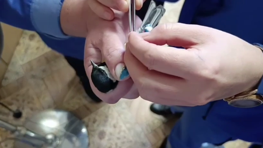 © ГБУЗ ЛО «Станция скорой медицинской помощи» в Telegram