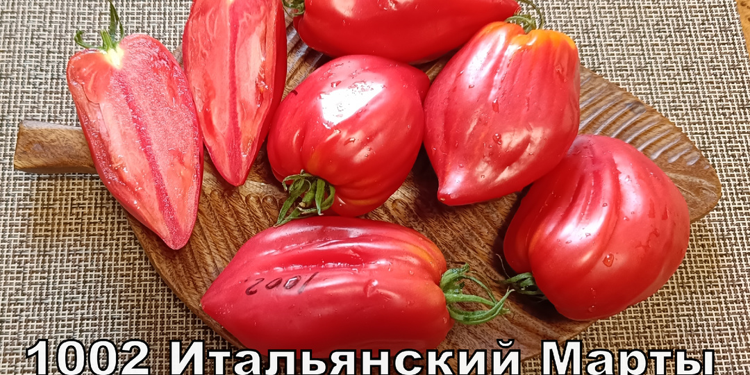 Каталог томатов 2025 с описаниями .Часть 9 часть