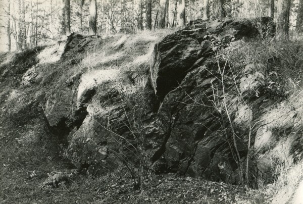 Скалы в лесопарке им. Лесоводов России