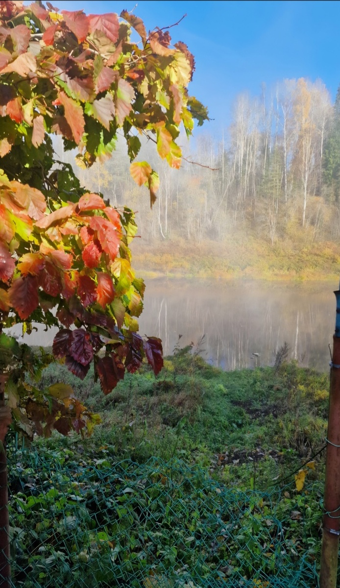 Вид на реку с участка, утром...  Радуга из тумана над речкой Сясь.