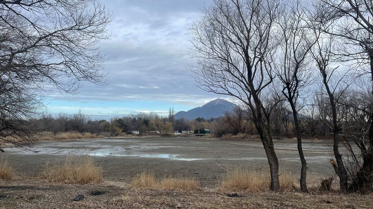Фото Сергея Анри