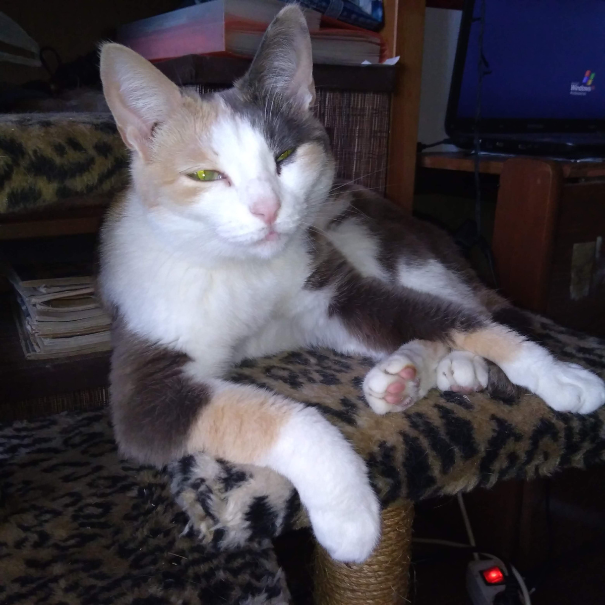 Татьяна на отдыхе