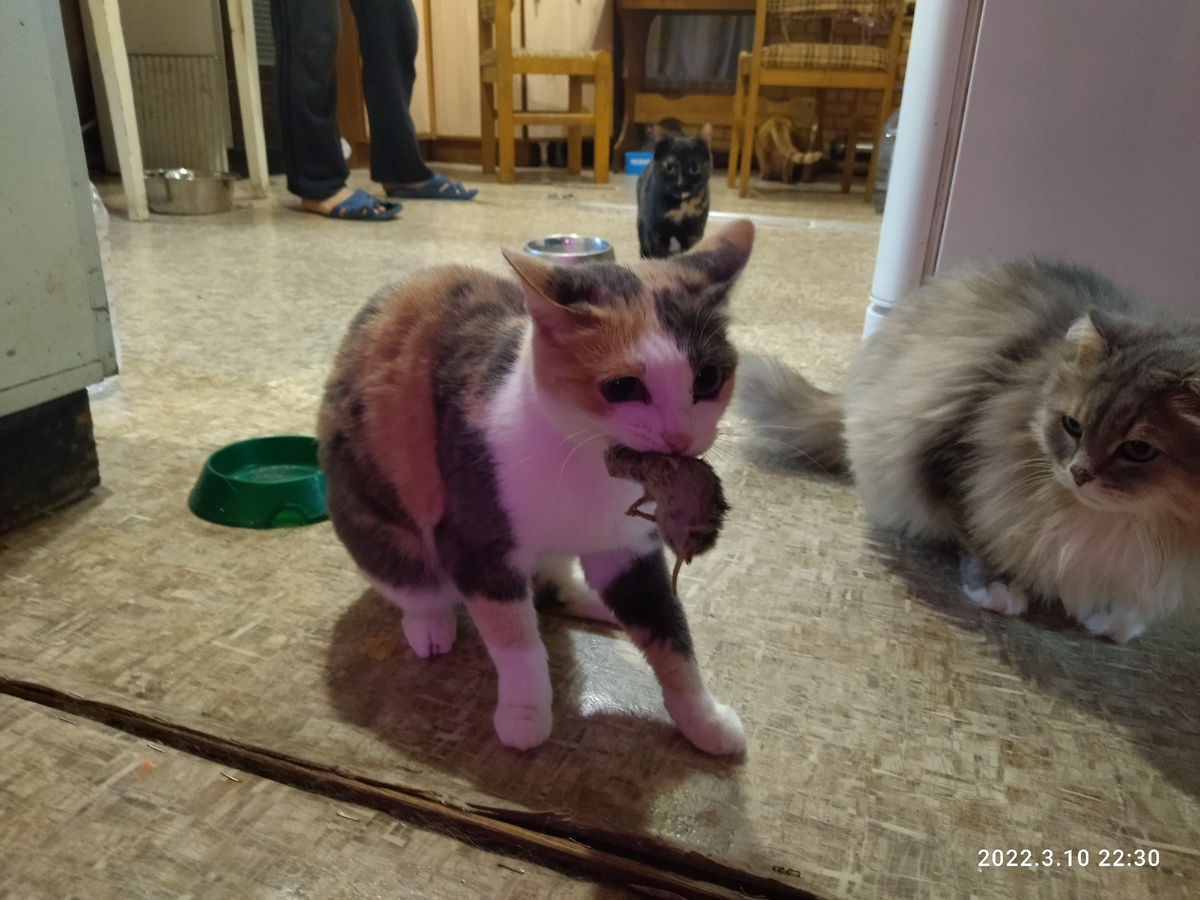 Она же за любимой работой