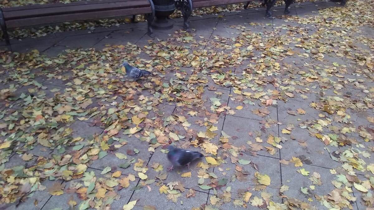 Фото автора.