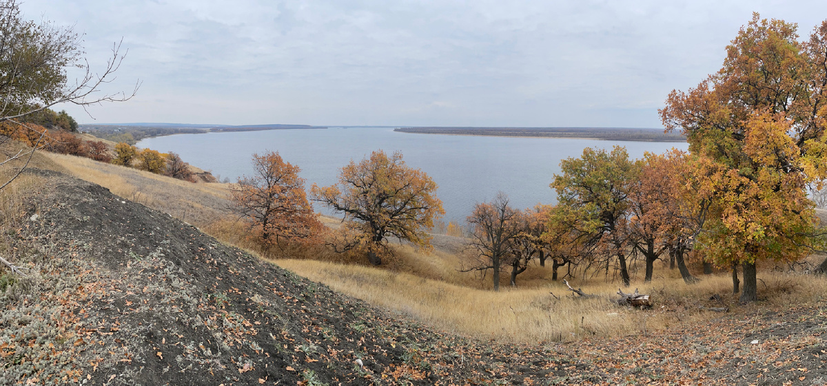 Фото этого дня для наглядности листвы, но уже за пределами района.