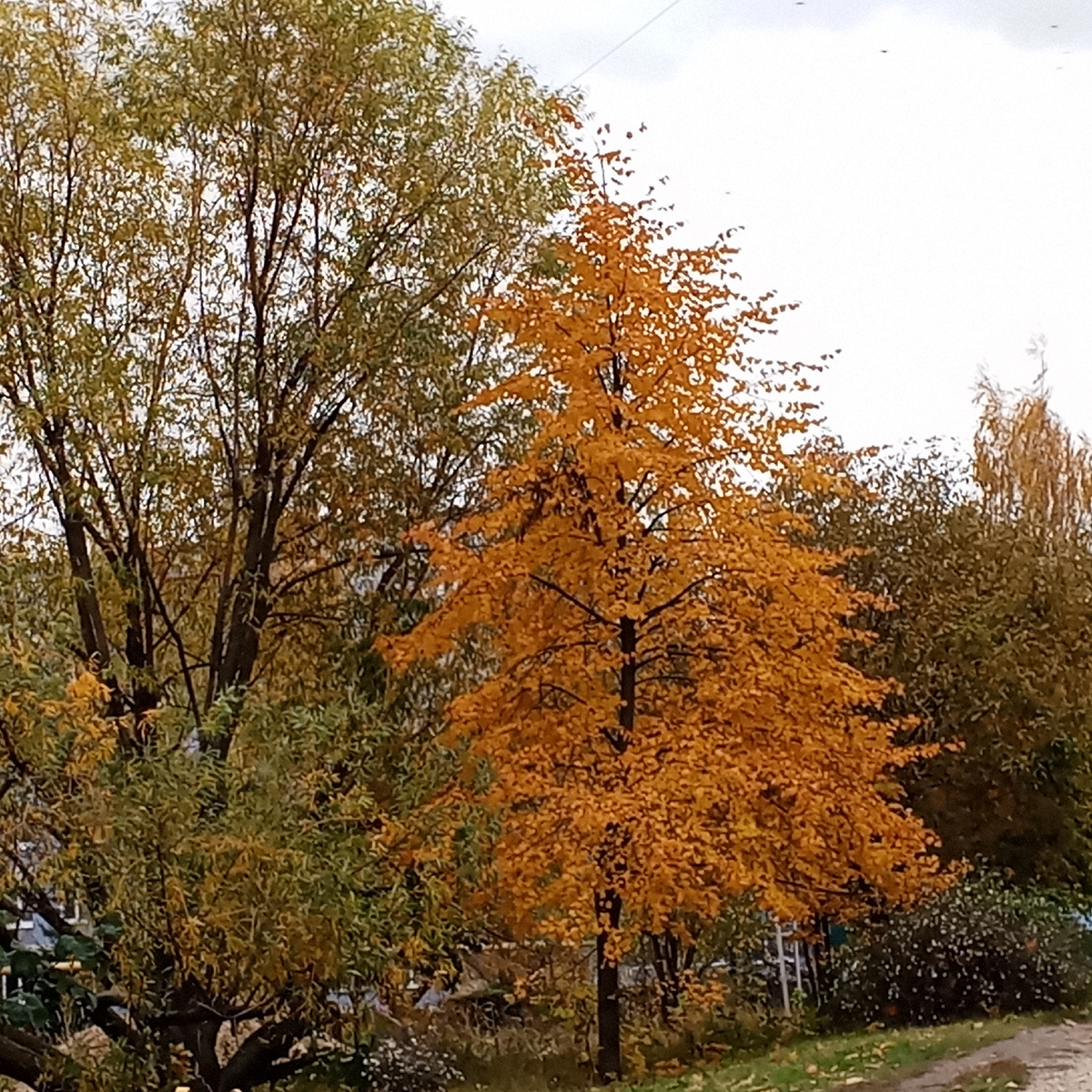 Недалеко от детской игровой площадки