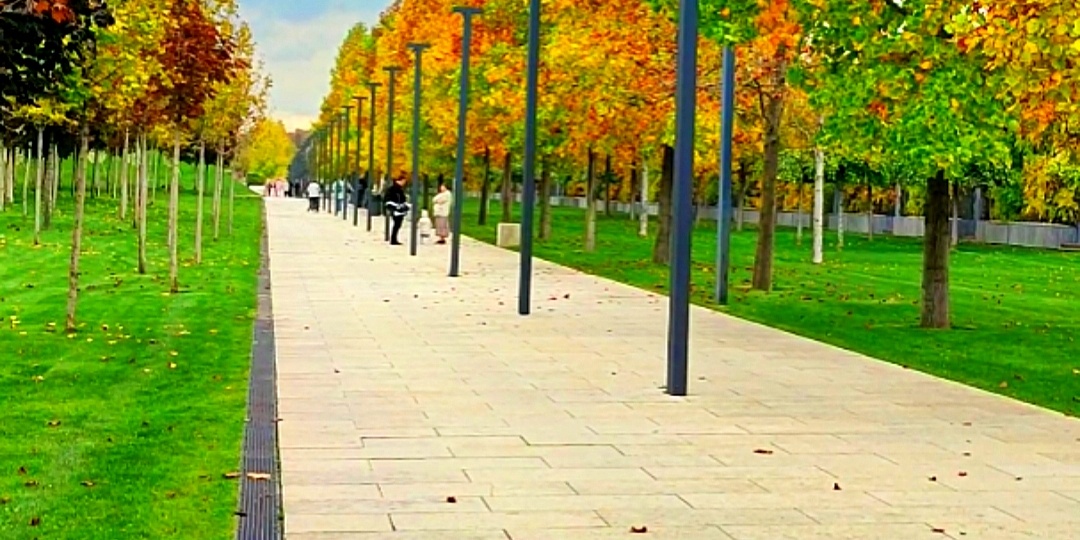 🍁Золотая осень в парке Галицкого.