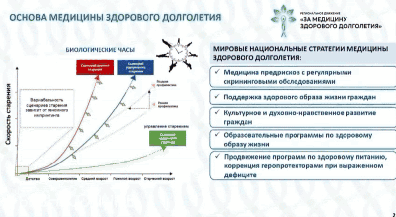    Голикова бросила пробный шар: если жить до 120, то зачем давать пенсию в 60-65? GIF: видео ТГ-канала Zloy Proof