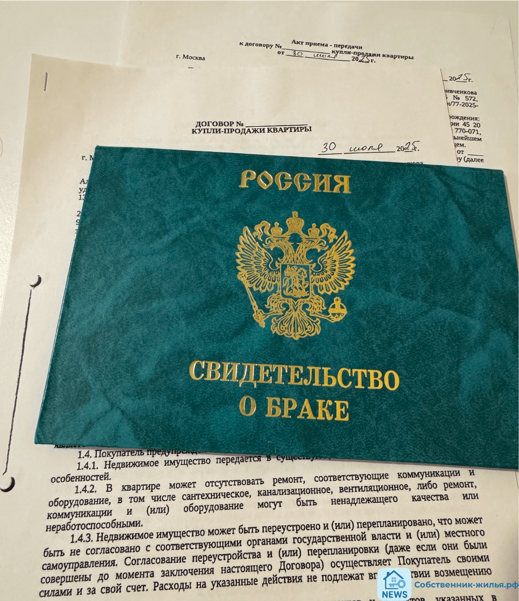 | фото © ISO M-P group