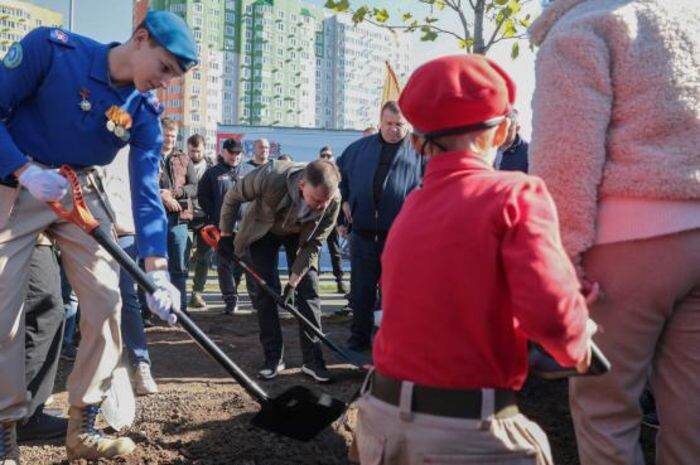 Иллюстрация: donland.ru