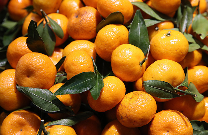    Сергей Карпухин/ТАСС