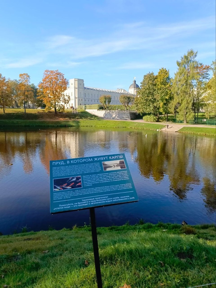 Еженедельный астропрогноз 27 октября – 2 ноября 2025 года