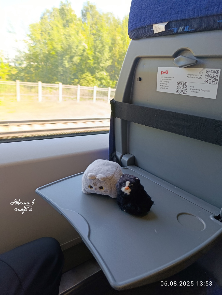 Квадратный и Чёрный в поезде.