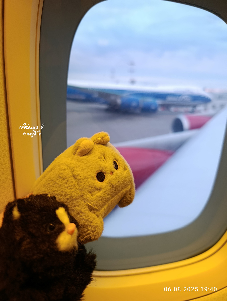 Чёрный и Квадратный в самолёте.