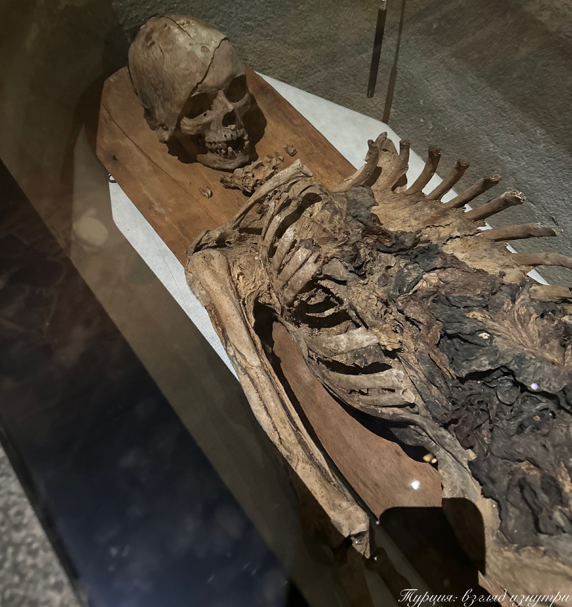 Мумия царя Табнита, жреца богини Астарты и царя Сидона, жившего в V веке до нашей эры