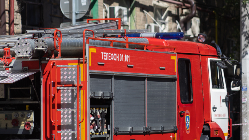    Фото: © РИА Новости