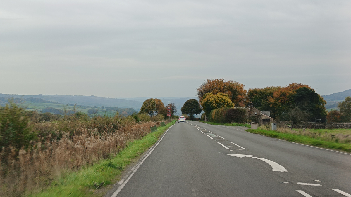 По пути в Садовый центр