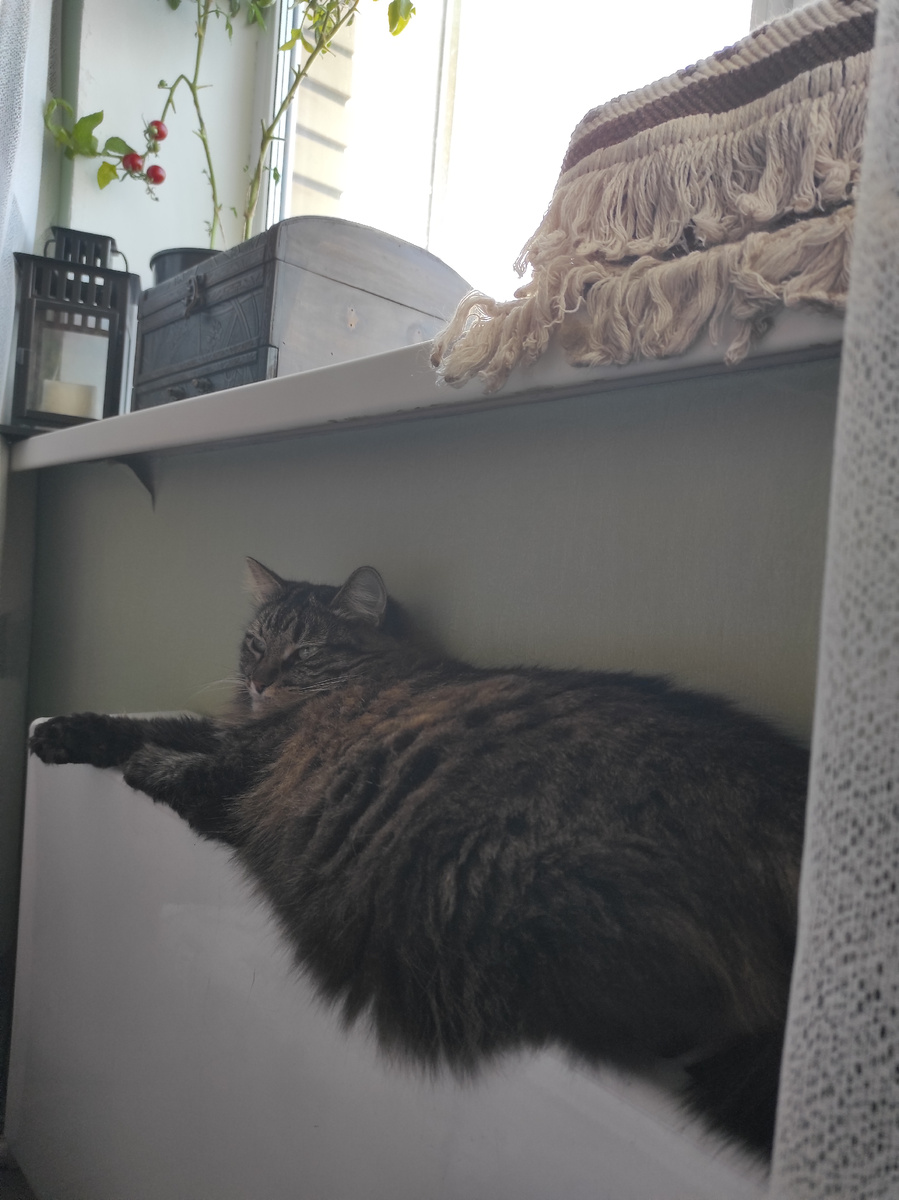 Давай уже собирайся потише, шастает как слон