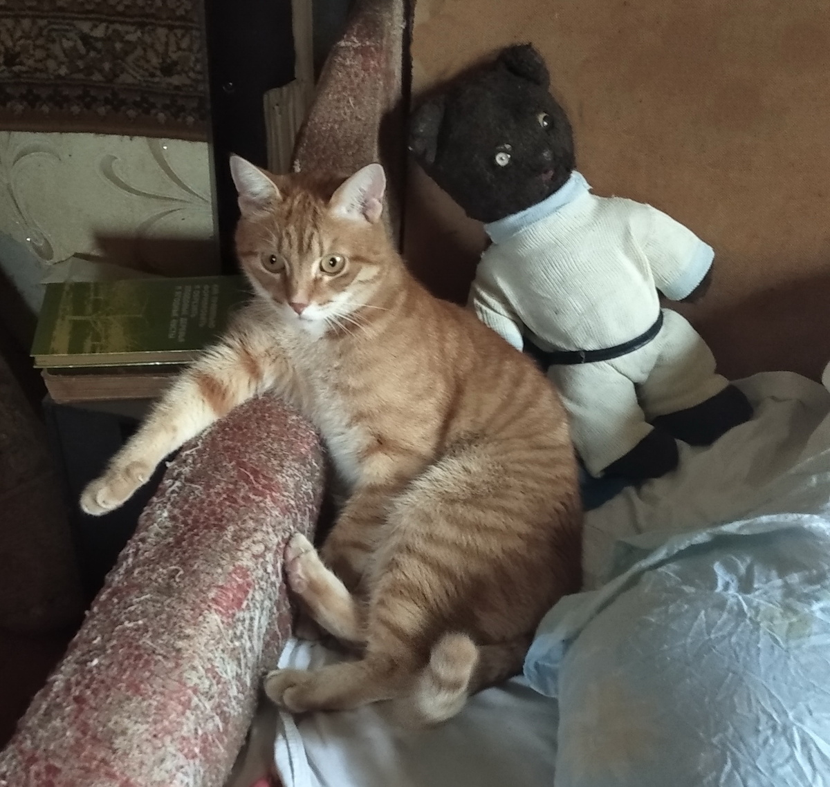 личное фото