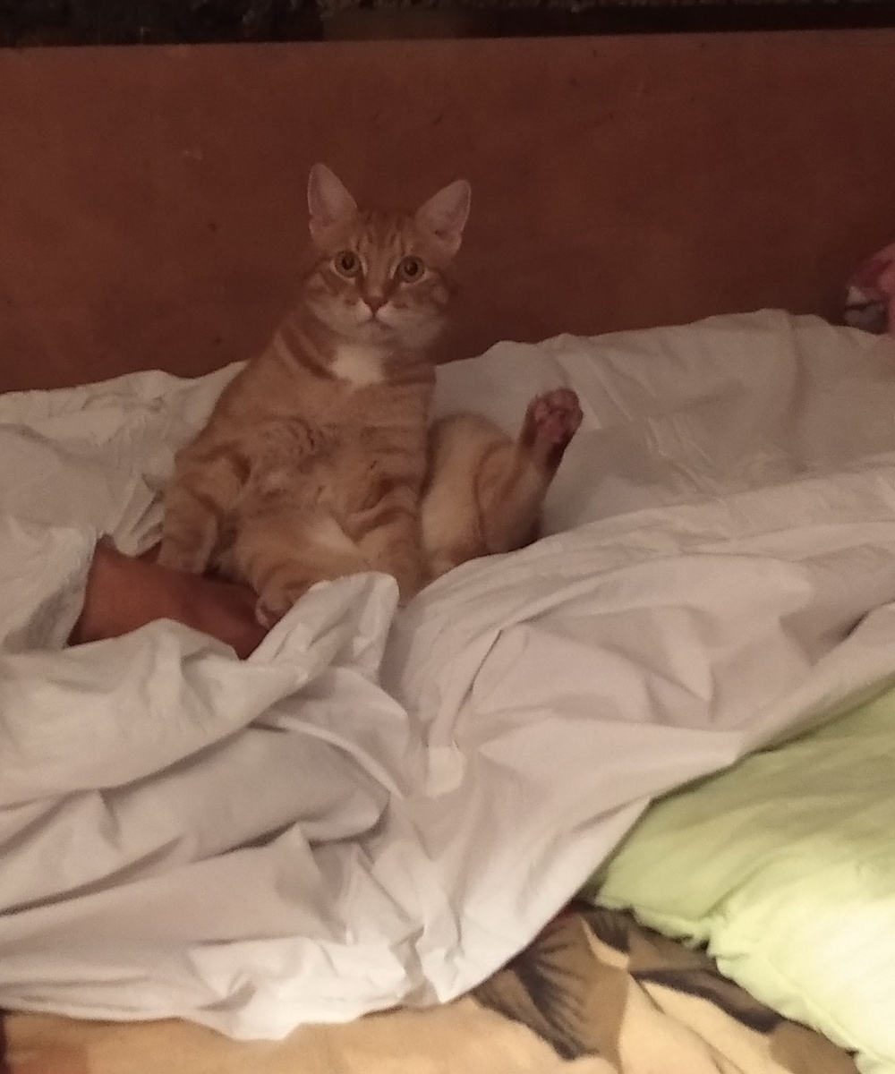 личное фото