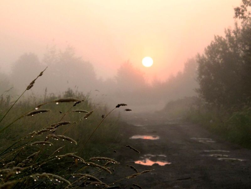 Изображение из сети Интернет