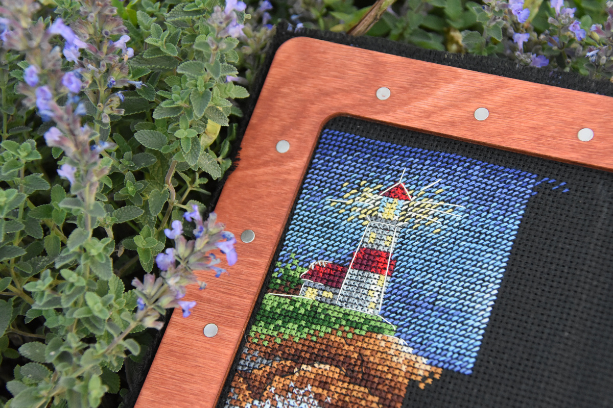 Фото автора, сентябрь 2025 года.