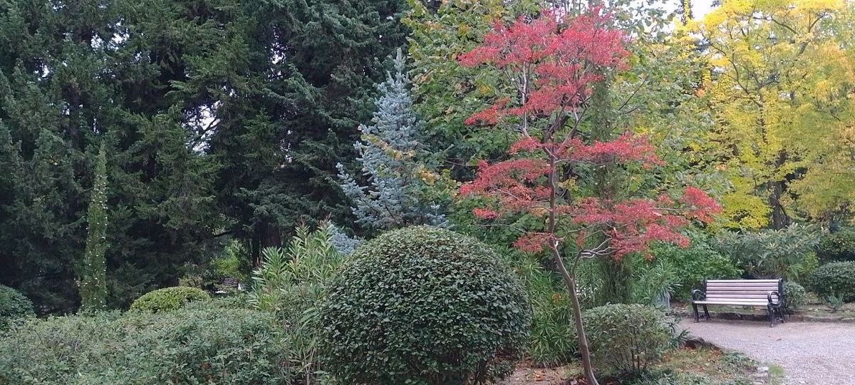 18.10.25 Форосский парк