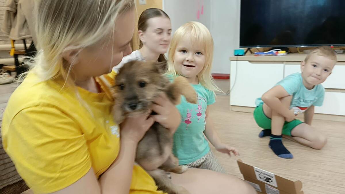 Чудо чудное 