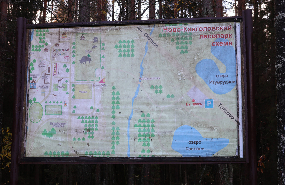 Схема Ново-Кавголовского лесопарка.