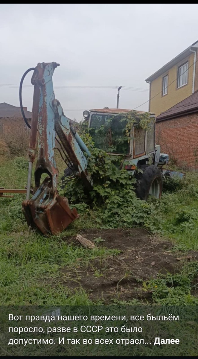 Фото, которое любезно предложила к использованию, местная жительница. Со своим комментарием.