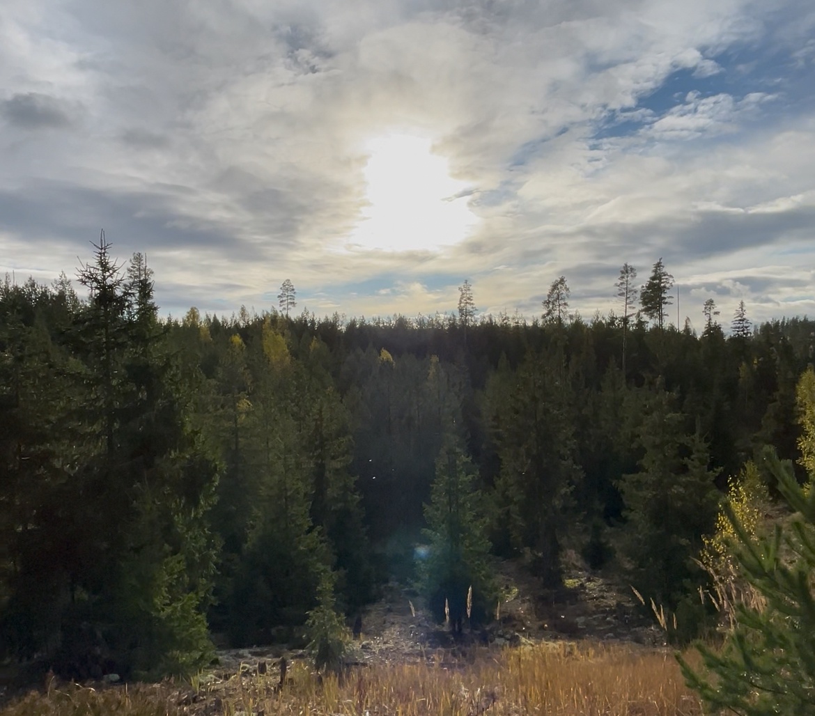 Создать карусель