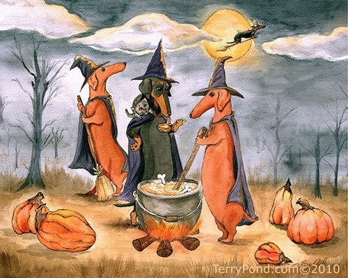 Изображение взято из открытого источника