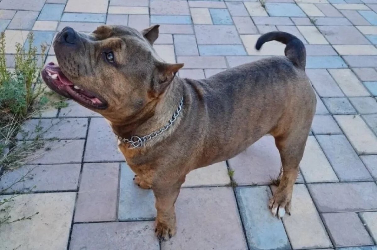    Дорогой друг.