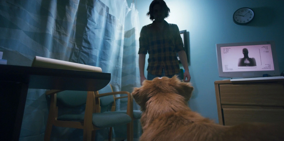 Источник — «Кинопоиск»