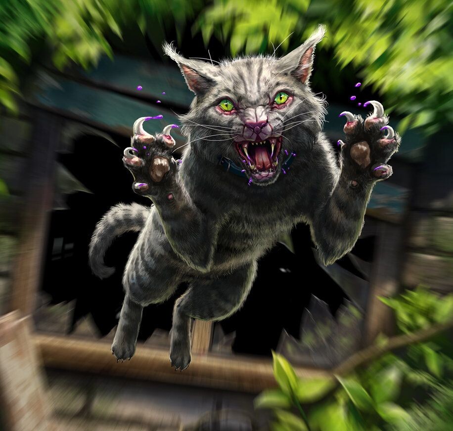 Рисунок из открытых источников