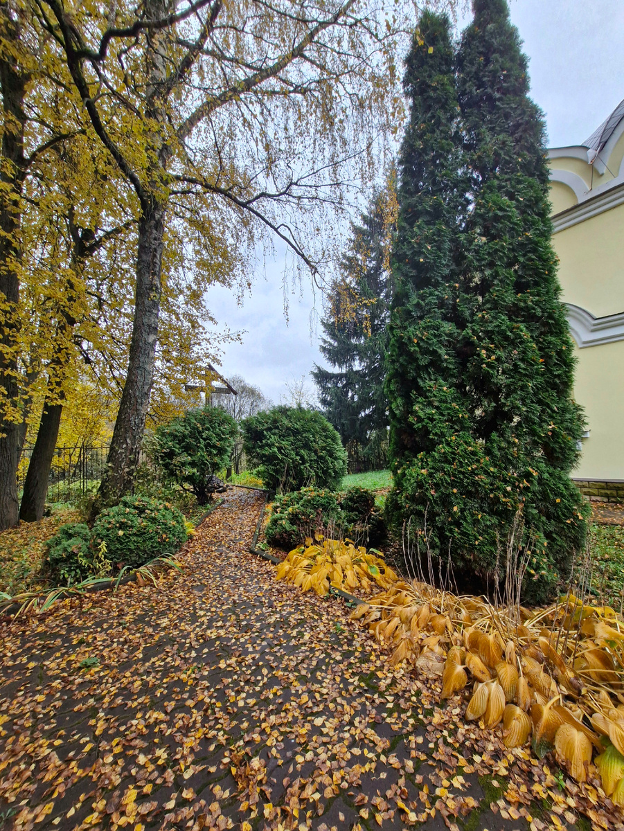 Такие картинки повсюду