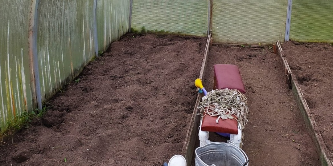 Поливаю теплицу народным средством в ноябре. Патогены вымерзают зимой