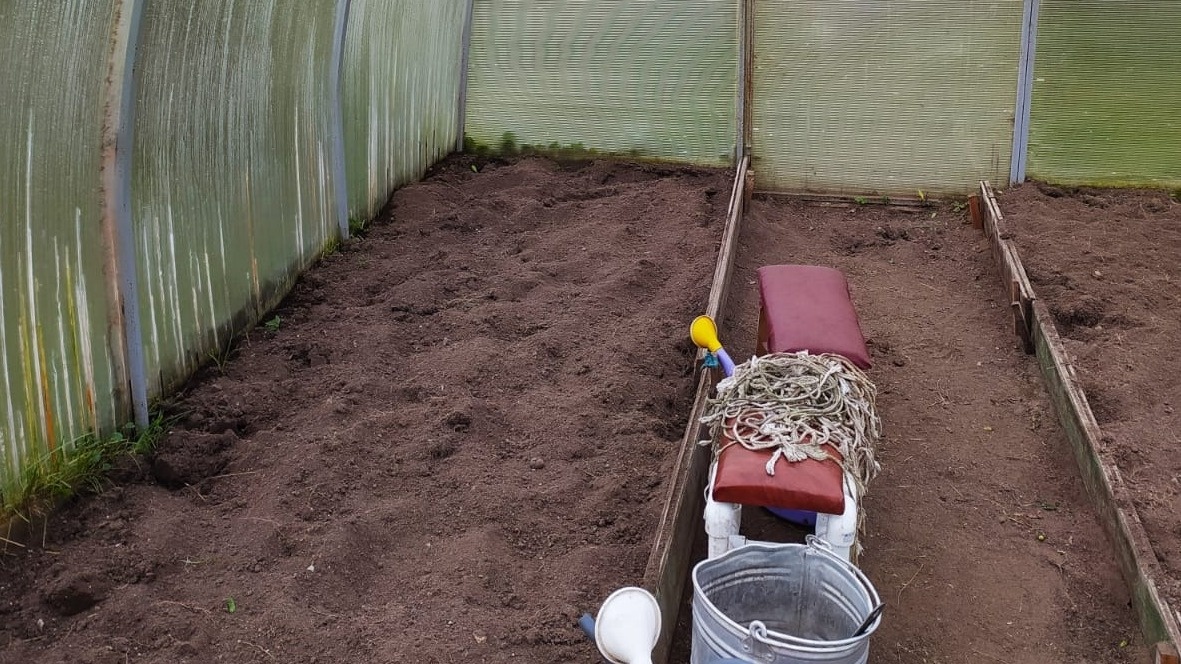 Готовлю народное средство для ноябрьской обработки теплицы